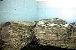 skóry surowe w magazynie 1