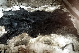 skóry surowe w magazynie 3