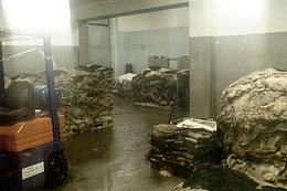 skóry surowe w magazynie 4