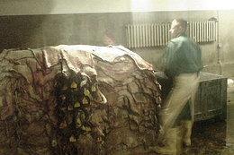 skóry surowe w magazynie 5