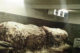 skóry surowe w magazynie 6